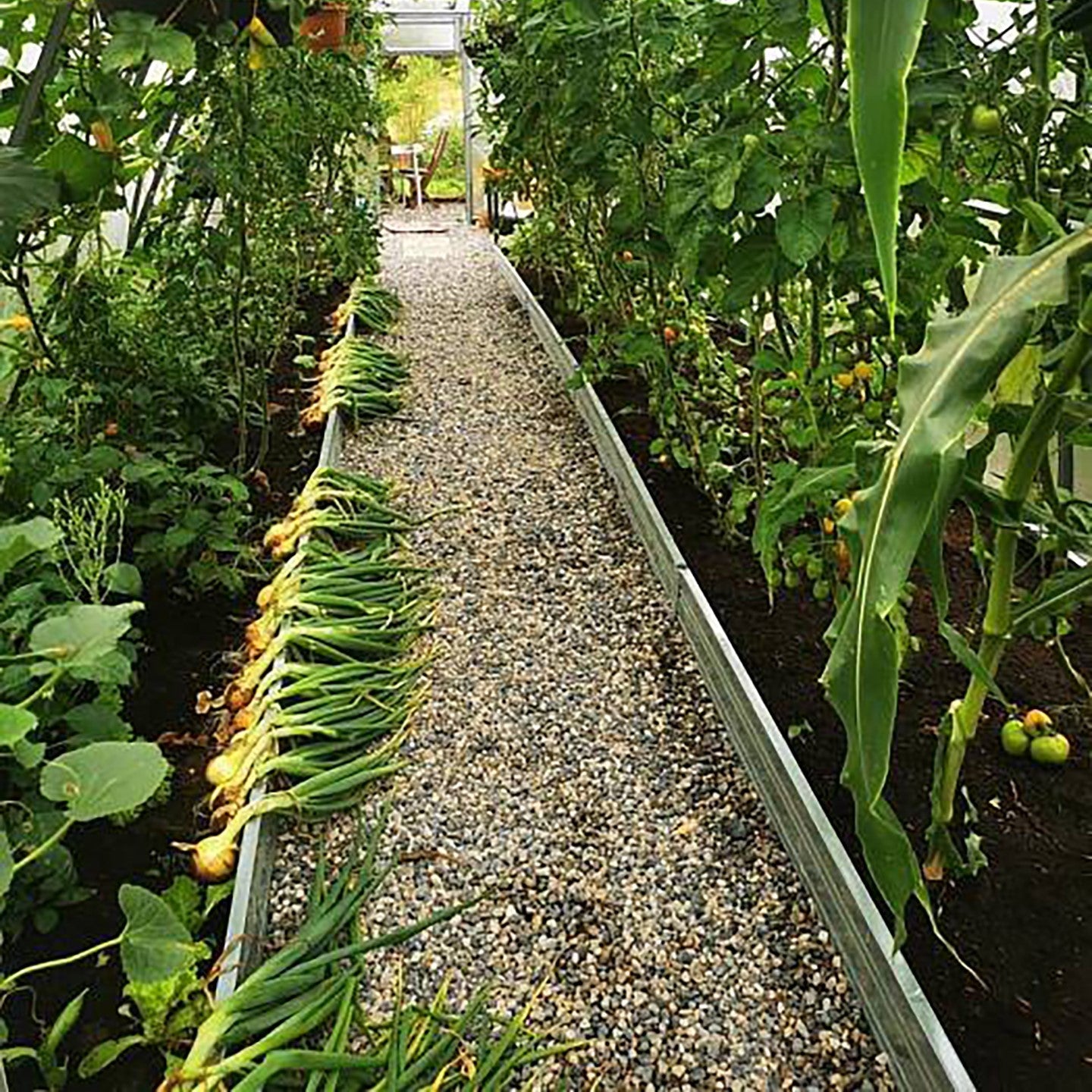 Verlängerungseinsatz 2m für Dein Beet B 100 cm Breit aus verzinktem Stahl-Garten-On.de