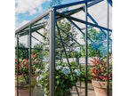 Glas-Gewächshäus Classic 310x459cm