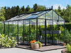 Glas-Gewächshäus Classic 310x384cm